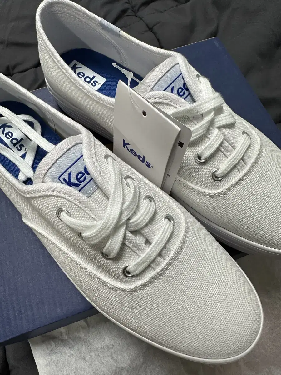 Keds 트리플 캔버스 화이트 245